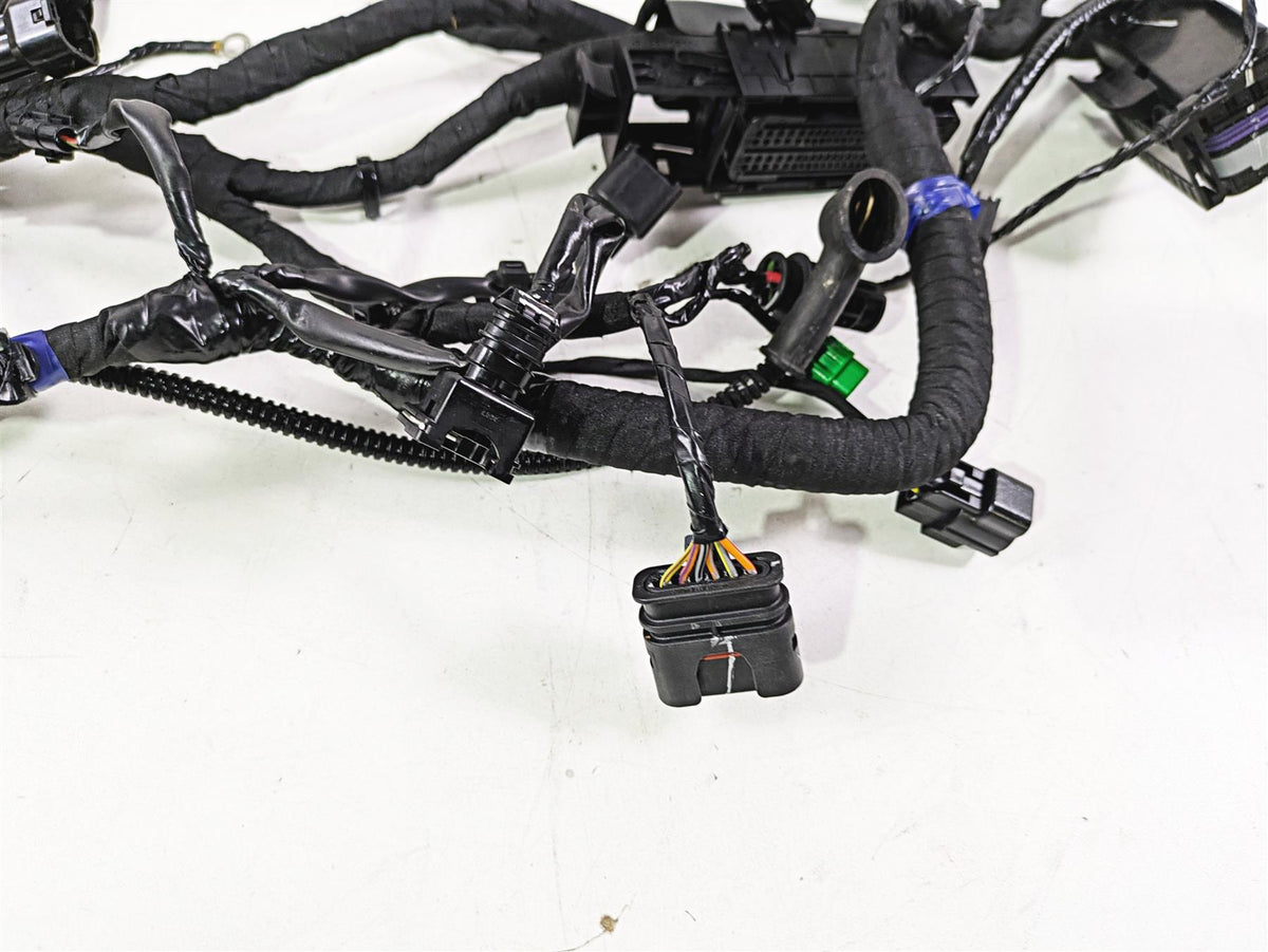 2023 BMW G310R K03 Wiring Harness Loom - No Cuts 61111541006 {{ shop.shopifyCountryName }} - Mototech271