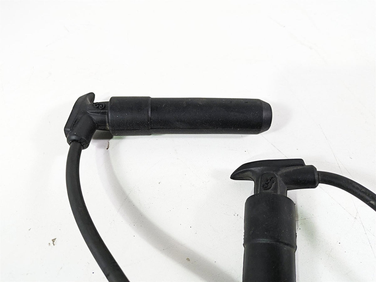 2018 Indian Chieftain Dark Horse Ignition Coil Wires Plugs 4010425 2876049 {{ shop.shopifyCountryName }} - Mototech271