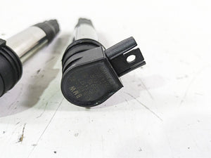 2014 BMW R1200 RT RTW K52 Eldor Ignition Coil Stick Coil Set 12138526677