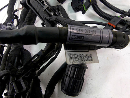 2015 BMW R1200GS GSW K50 Main & Engine Wiring Harness Esa Abs 61118549371 {{ shop.shopifyCountryName }} - Mototech271