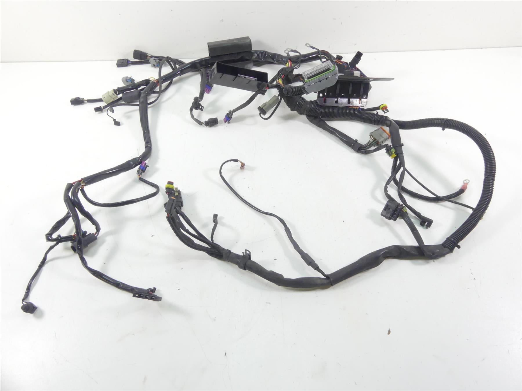 2008 Harley Softail FXSTB Night Train Wiring Harness Loom Efi -No Cuts 70431-08A {{ shop.shopifyCountryName }} - Mototech271