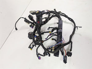 2014 Harley FLS Softail Slim Main Abs Wiring Harness Loom - No Cuts 69200319
