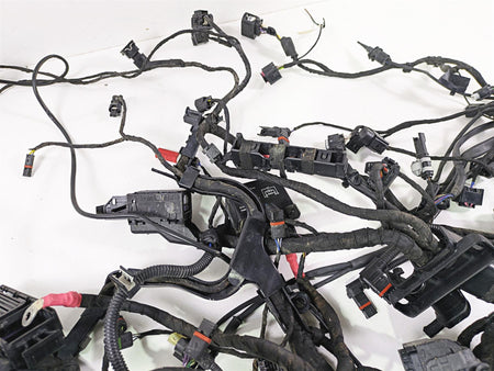 2017 BMW R1200 GS K50 Main & Engine Wiring Harness Abs Esa - Read 61118350519 {{ shop.shopifyCountryName }} - Mototech271