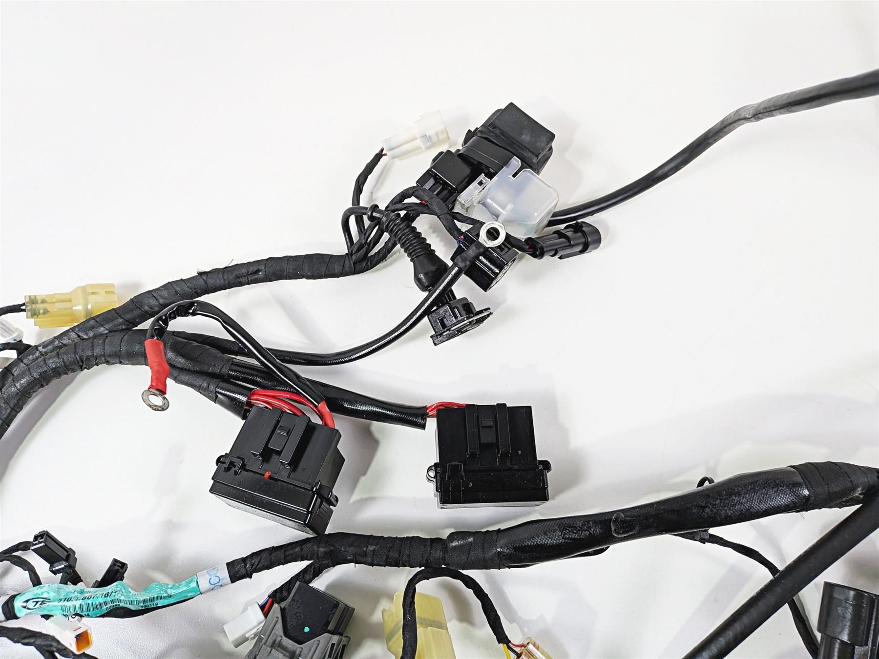 2019 Ducati 959 Panigale Main Wiring Harness Loom - No Cut 5101B071B {{ shop.shopifyCountryName }} - Mototech271