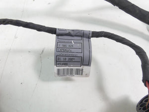 2009 BMW F800GS K72 Main & Engine Wiring Harness Abs 61117705426 12517705428