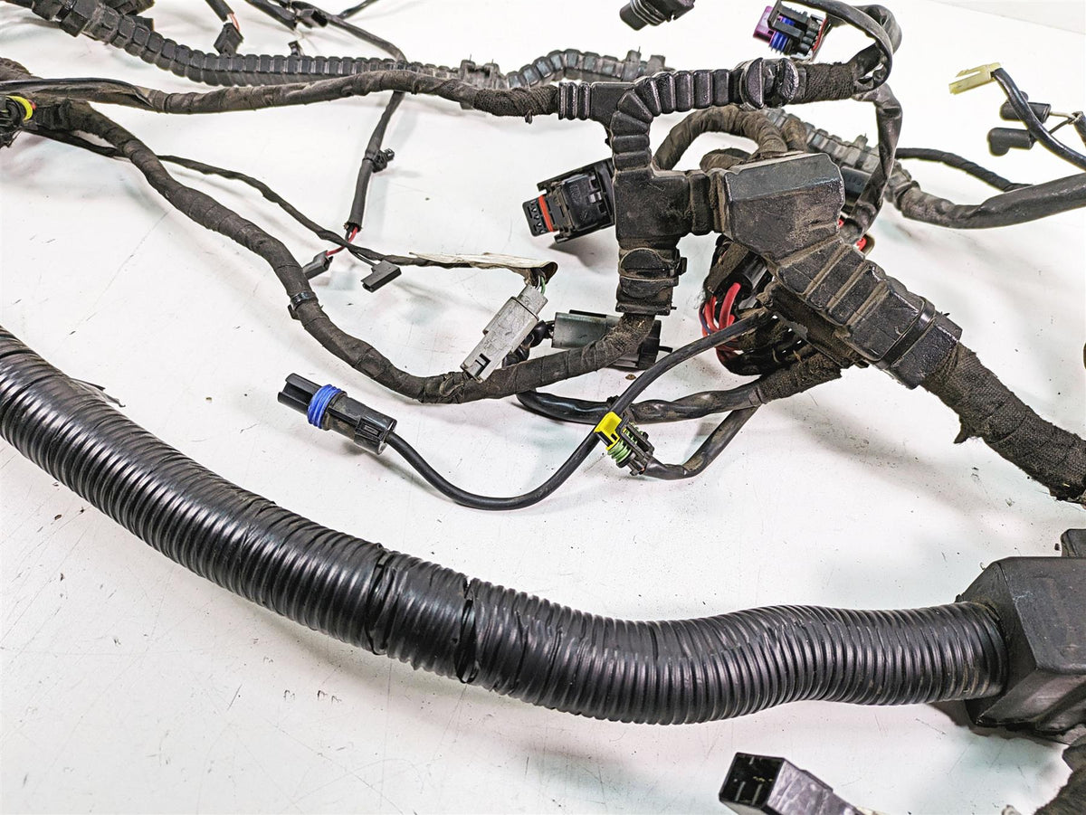 2015 Harley FXDL Dyna Low Rider Main Wiring Harness Loom Abs 71075-12A {{ shop.shopifyCountryName }} - Mototech271