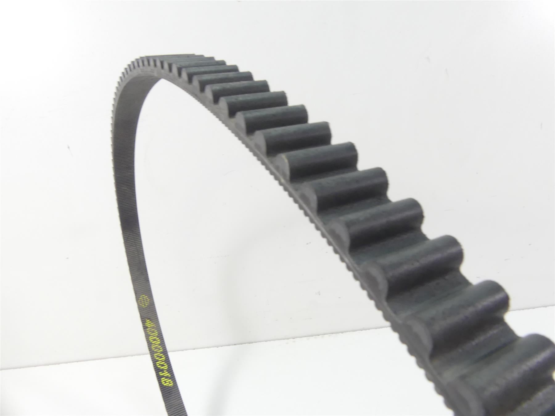 2019 Harley FLHC Softail Heritage Main Drive Belt 134T 24mm 40000018 {{ shop.shopifyCountryName }} - Mototech271