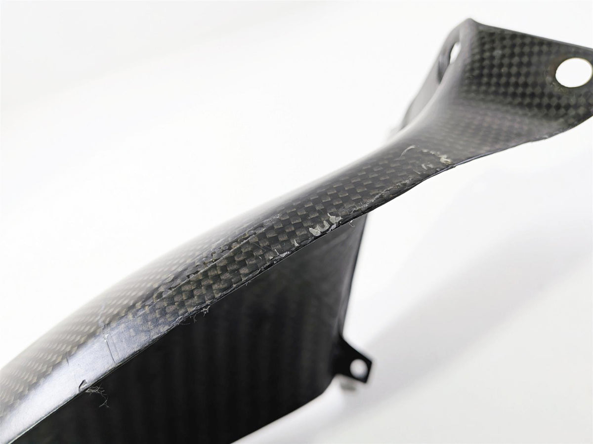 2019 Triumph Speed Triple RS 1050 Carbon Fiber Rear Fender Mud Guard {{ shop.shopifyCountryName }} - Mototech271