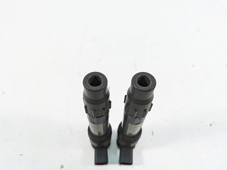 2016 Kawasaki Ninja EX300 Denso Ignition Coil Set 21171-0033 129700-5430 {{ shop.shopifyCountryName }} - Mototech271