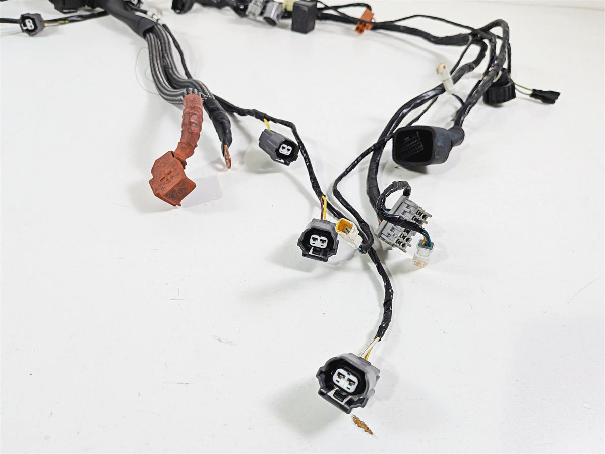 2016 Mv Agusta F3 800 RR Main Wiring Harness Loom - No Cuts 8000B9861-Mototech271