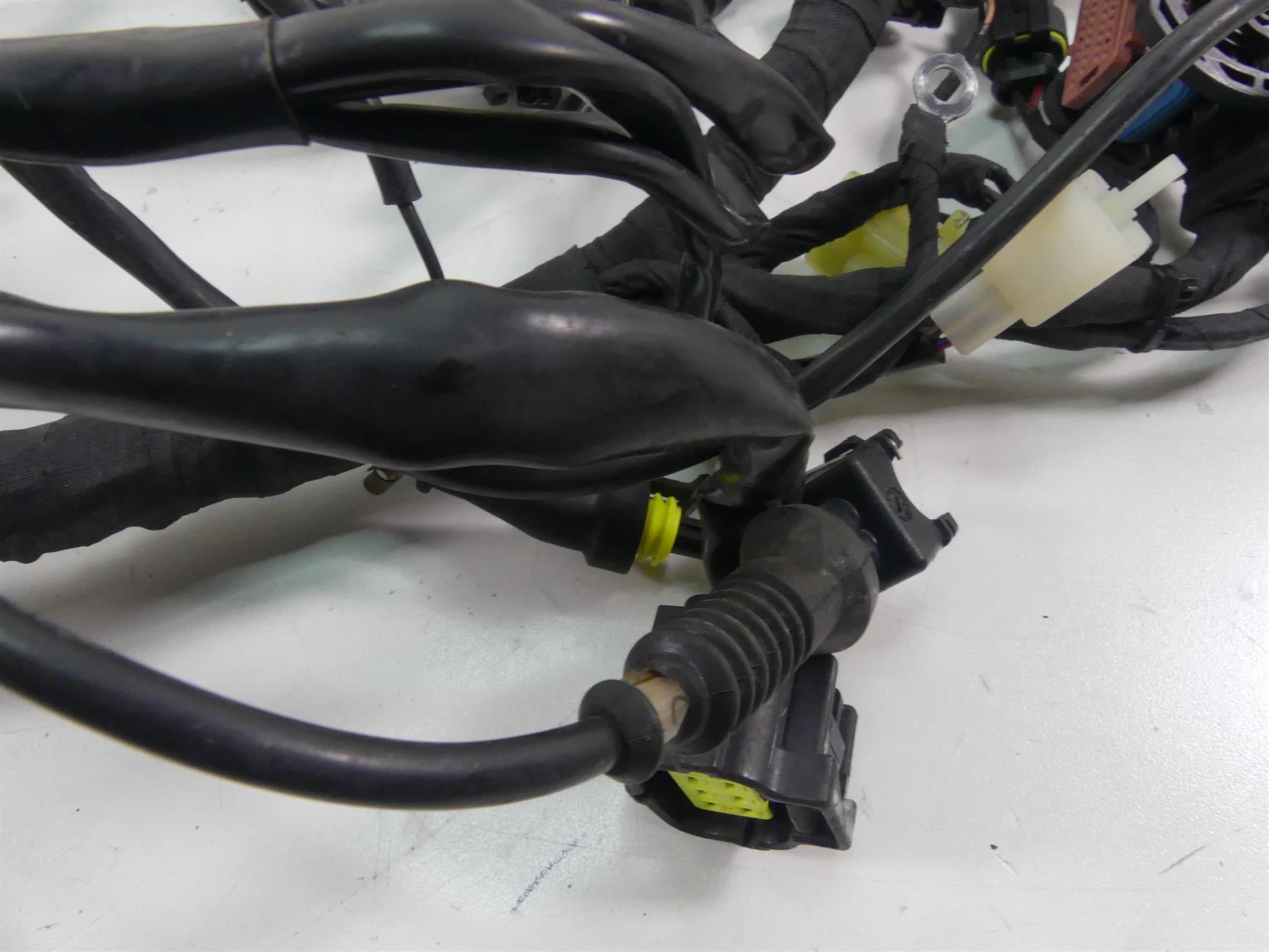 2007 Ducati Sport Classic GT1000 Main Wiring Harness Loom - No Cuts 51013601C {{ shop.shopifyCountryName }} - Mototech271