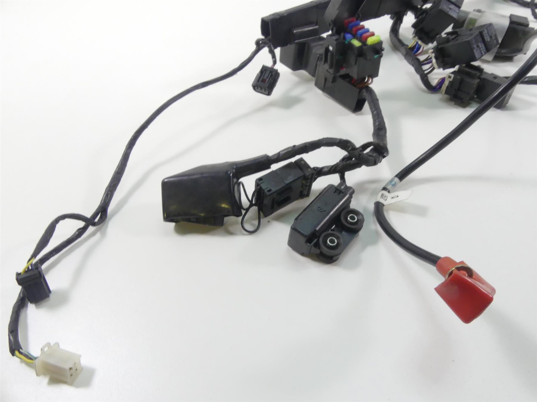 2013 Triumph Street Triple 675R Wiring Harness Abs Version - No Cuts T2508065 {{ shop.shopifyCountryName }} - Mototech271