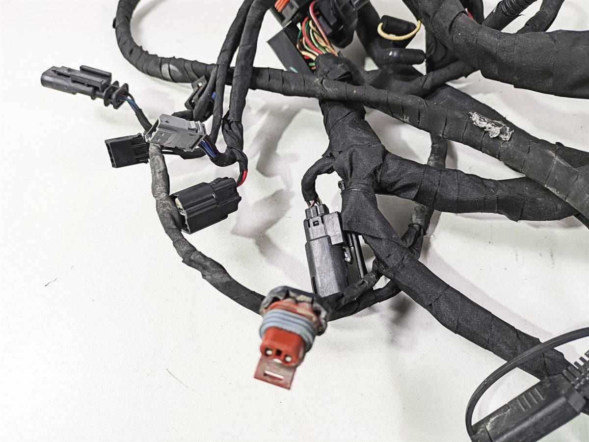 2021 Harley Softail FXST Standard Main Wiring Harness - No Abs - No Cut 69201493 {{ shop.shopifyCountryName }} - Mototech271