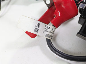 2018 Ducati Scrambler Desert Sled 800 Main Wiring Harness Loom -No Cut 5101C582A