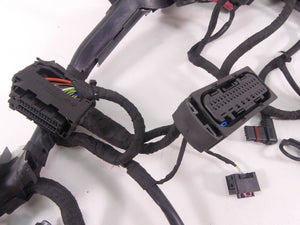 2016 BMW R1200RS K54 Engine & Main ABS Wiring Harness Loom Set - Read 6111856212