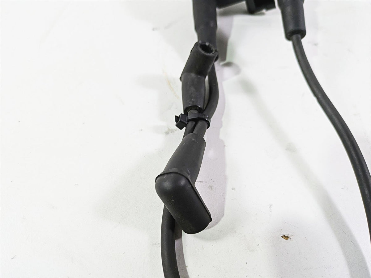 2016 Harley FXDL Dyna Low Rider Delphi Ignition Coil Wires Plugs 31696-07A {{ shop.shopifyCountryName }} - Mototech271