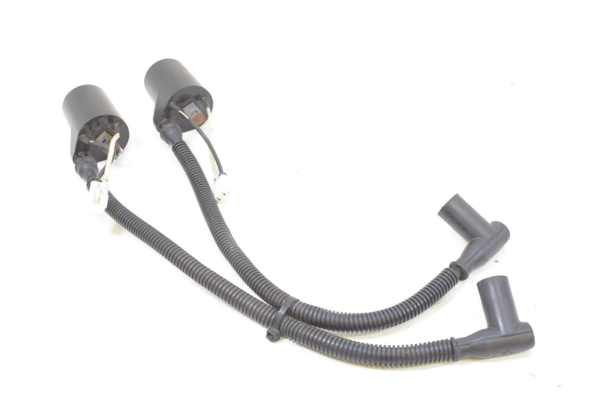 2010 Polaris Dragon RMK 800 S10PG8ESA Ignition Coil Set 4012136 {{ shop.shopifyCountryName }} - Mototech271