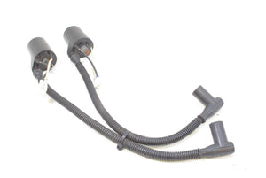 2010 Polaris Dragon RMK 800 S10PG8ESA Ignition Coil Set 4012136