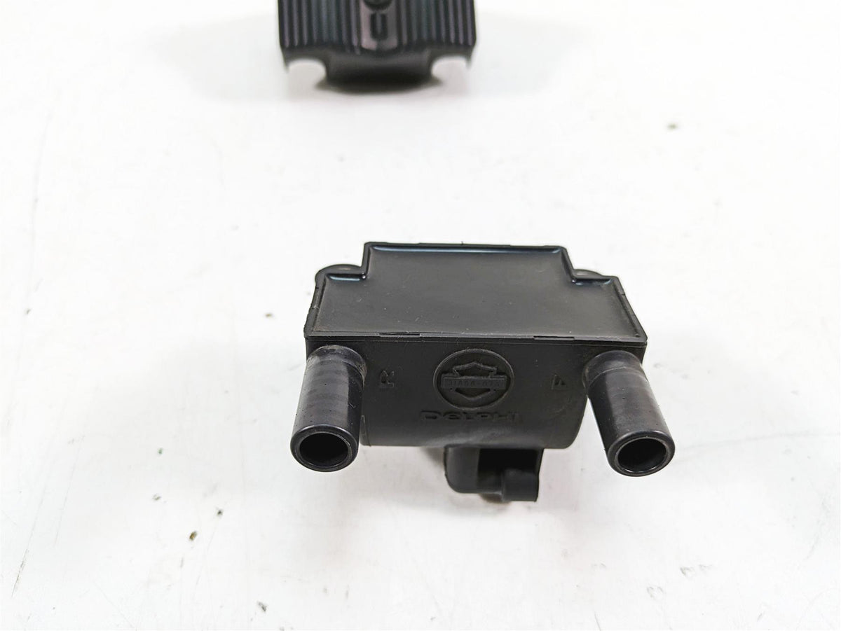 2015 Harley FXDL Dyna Low Rider Delphi Ignition Coil 31696-07A {{ shop.shopifyCountryName }} - Mototech271