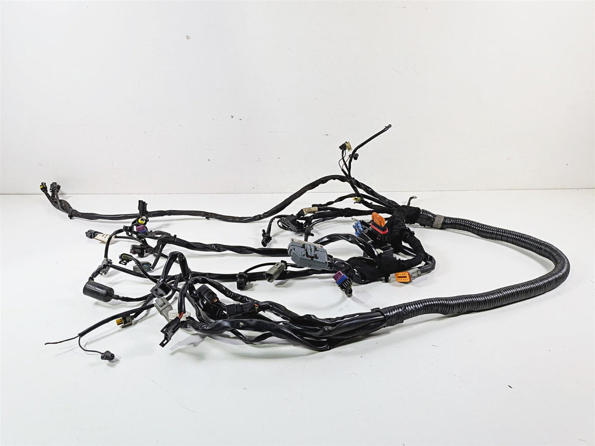 2006 Harley Davidson Dyna FXDBI Street Bob Wiring Harness Loom - Read 69602-06 {{ shop.shopifyCountryName }} - Mototech271