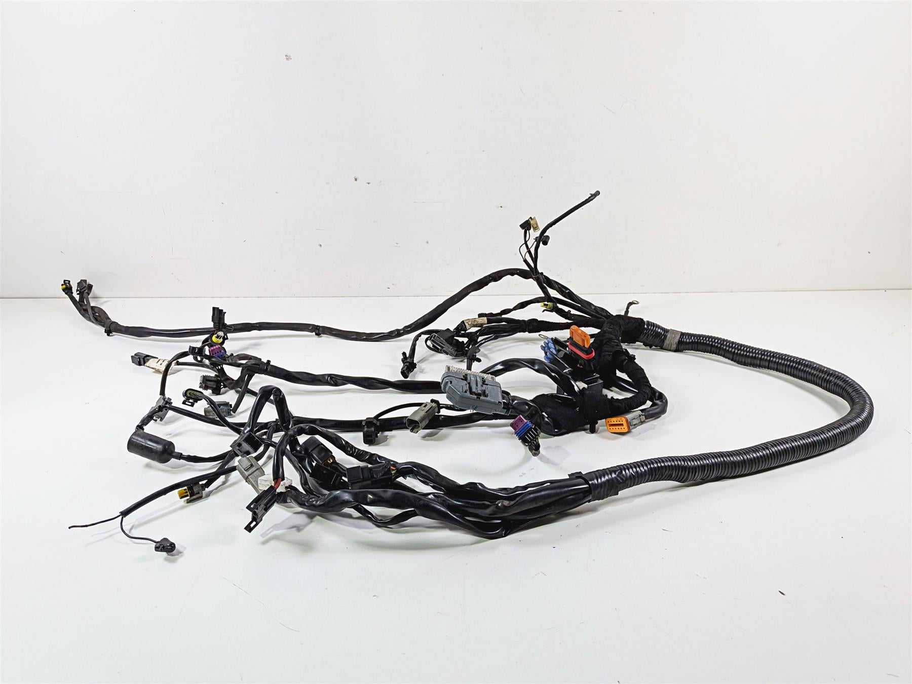 2006 Harley Davidson Dyna FXDBI Street Bob Wiring Harness Loom - Read 69602-06 {{ shop.shopifyCountryName }} - Mototech271