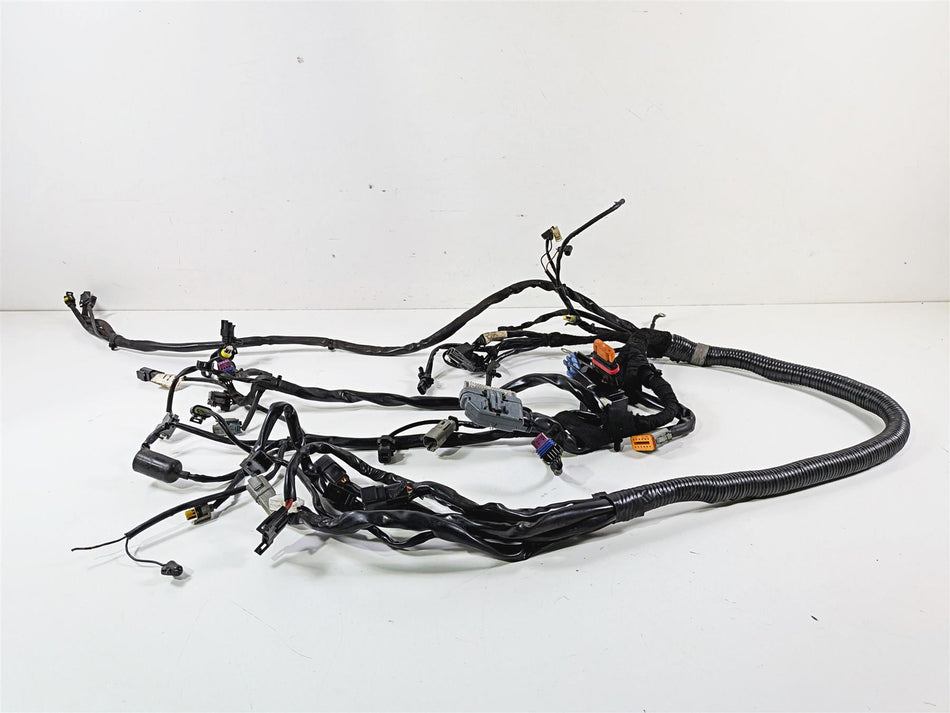 2006 Harley Davidson Dyna FXDBI Street Bob Wiring Harness Loom - Read 69602-06 {{ shop.shopifyCountryName }} - Mototech271
