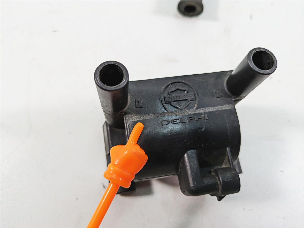 2011 Harley Touring FLTRU Road Glide Delphi Ignition Coil Wires Plugs 31696-07A {{ shop.shopifyCountryName }} - Mototech271