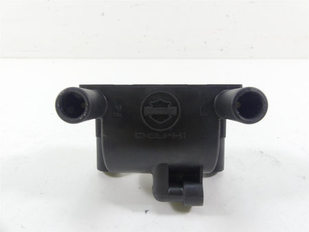 2016 Harley Touring FLHR Road King Delphi Ignition Coil Wires Plugs 31696-07A {{ shop.shopifyCountryName }} - Mototech271