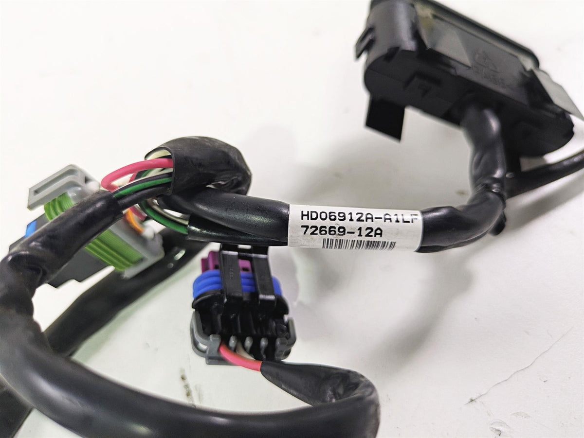 2016 Harley FXDWG Dyna Wide Glide Instrument Indicator Lights & Wiring 72669-12A {{ shop.shopifyCountryName }} - Mototech271