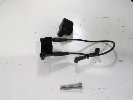 2015 Harley FXDL Dyna Low Rider Delphi Ignition Coil Wires Plugs 31696-07A {{ shop.shopifyCountryName }} - Mototech271
