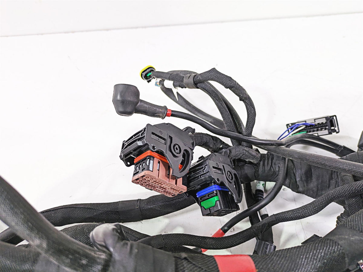 2022 MV Agusta F3 800 Rosso Main Wiring Harness Loom 8000C8926 {{ shop.shopifyCountryName }} - Mototech271