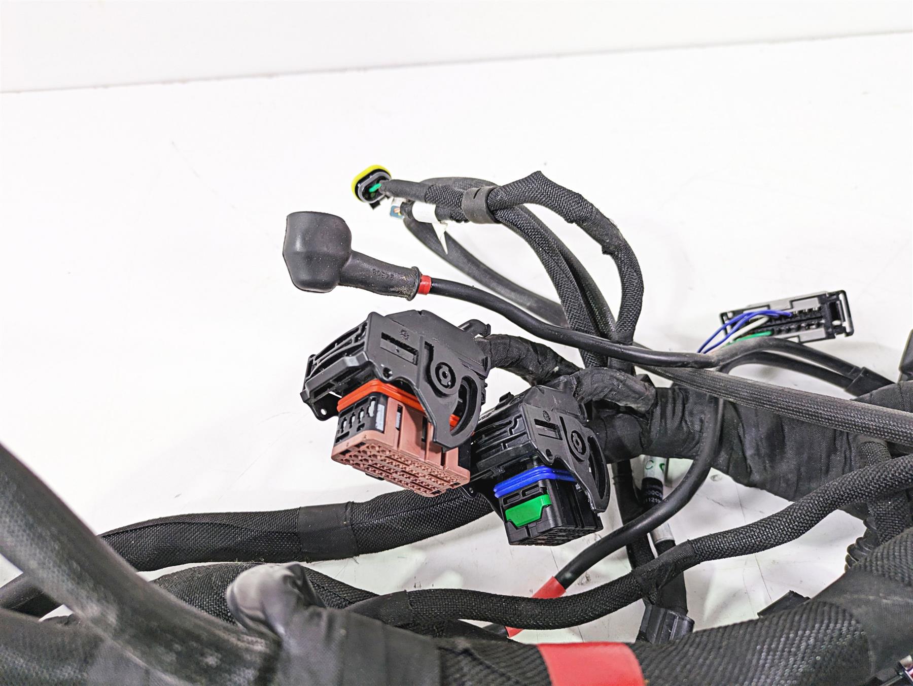 2022 MV Agusta F3 800 Rosso Main Wiring Harness Loom 8000C8926 {{ shop.shopifyCountryName }} - Mototech271