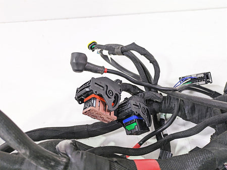 2022 MV Agusta F3 800 Rosso Main Wiring Harness Loom 8000C8926 {{ shop.shopifyCountryName }} - Mototech271