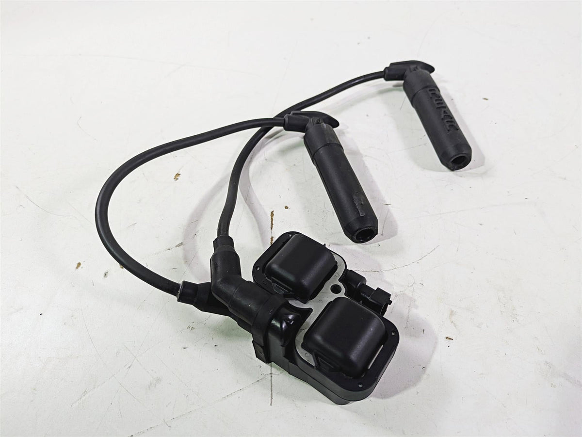 2019 Indian Chieftain Limited Ignition Coil Wires Plugs 4010425 2876049 {{ shop.shopifyCountryName }} - Mototech271
