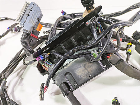 2009 Harley FLSTSB Cross Bones Wiring Harness Loom - No Cut 70431-08A {{ shop.shopifyCountryName }} - Mototech271