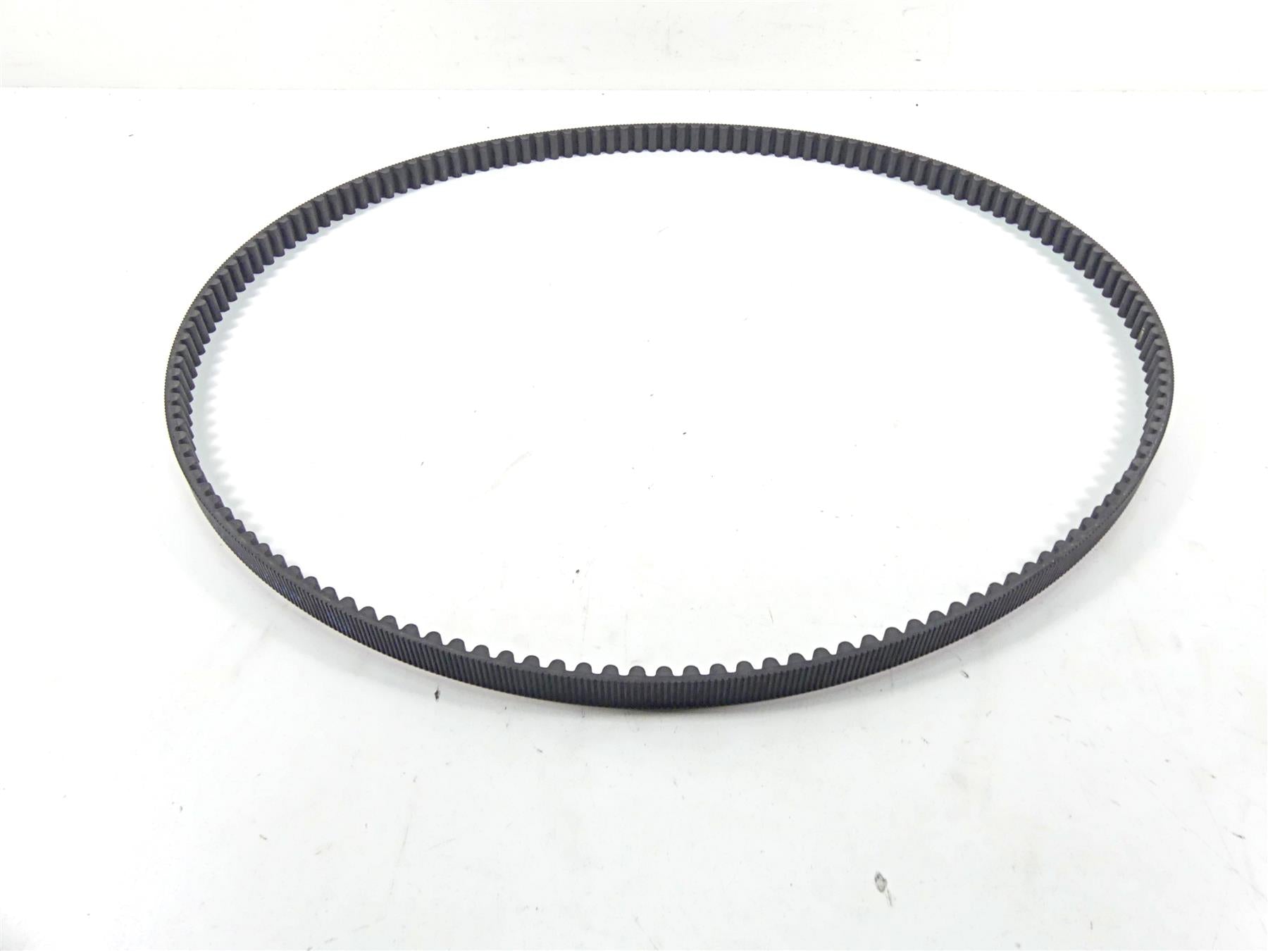 2015 Harley VRSCF Muscle V-Rod Rear Main Drive Belt 151T 1" 40144-07 {{ shop.shopifyCountryName }} - Mototech271