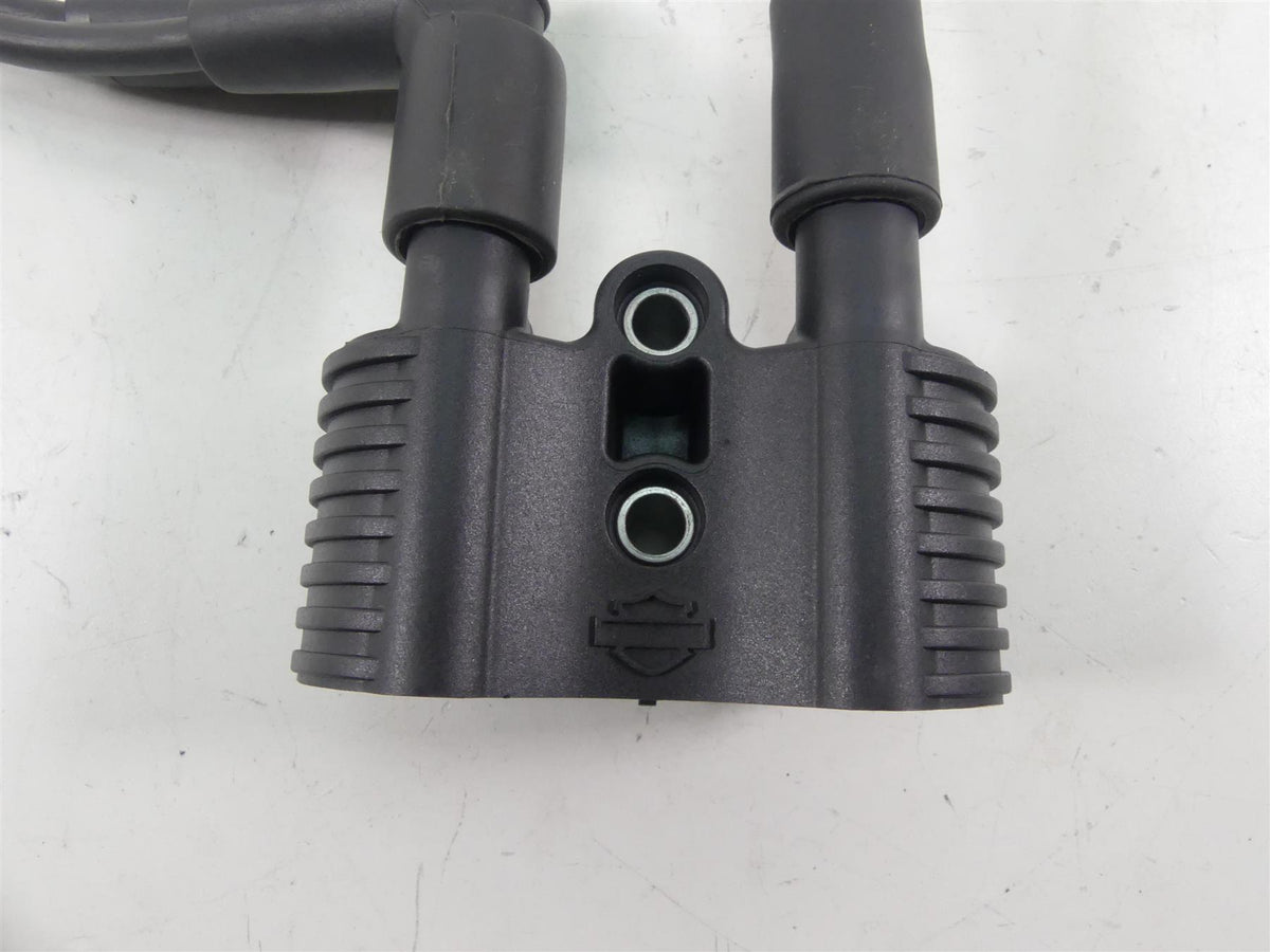 2020 Harley Sportster XL1200 NS Iron Delphi Ignition Coil Wires & Plugs 31656-07 {{ shop.shopifyCountryName }} - Mototech271
