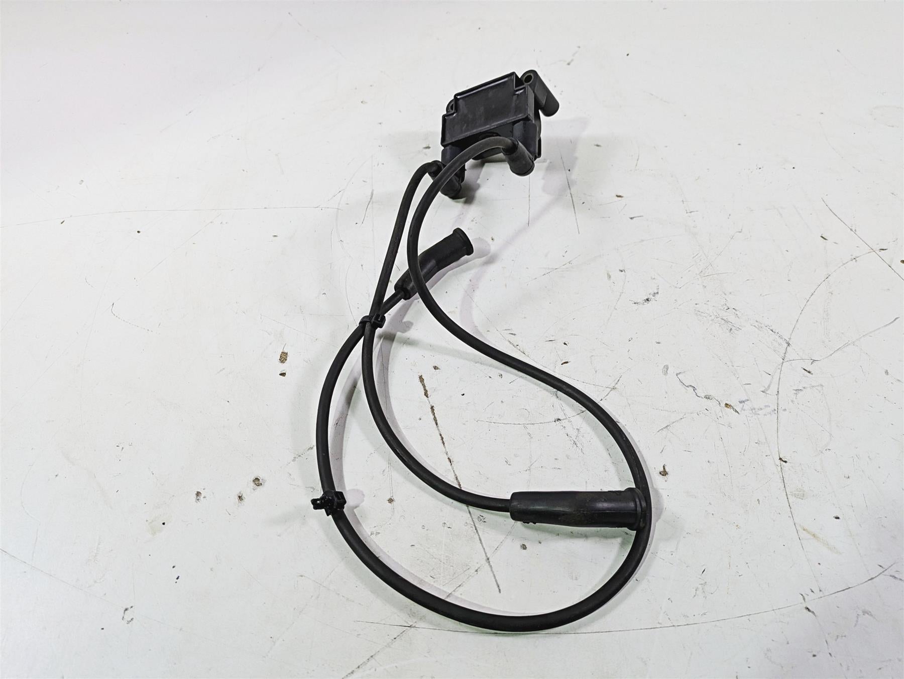 2016 Harley Touring FLTRX Road Glide Ignition Coil & Wires Set Delphi 31696-07A {{ shop.shopifyCountryName }} - Mototech271