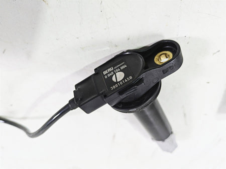 2018 Ducati Hypermotard 939 SP Beru Ignition Coil Set 38010145B {{ shop.shopifyCountryName }} - Mototech271
