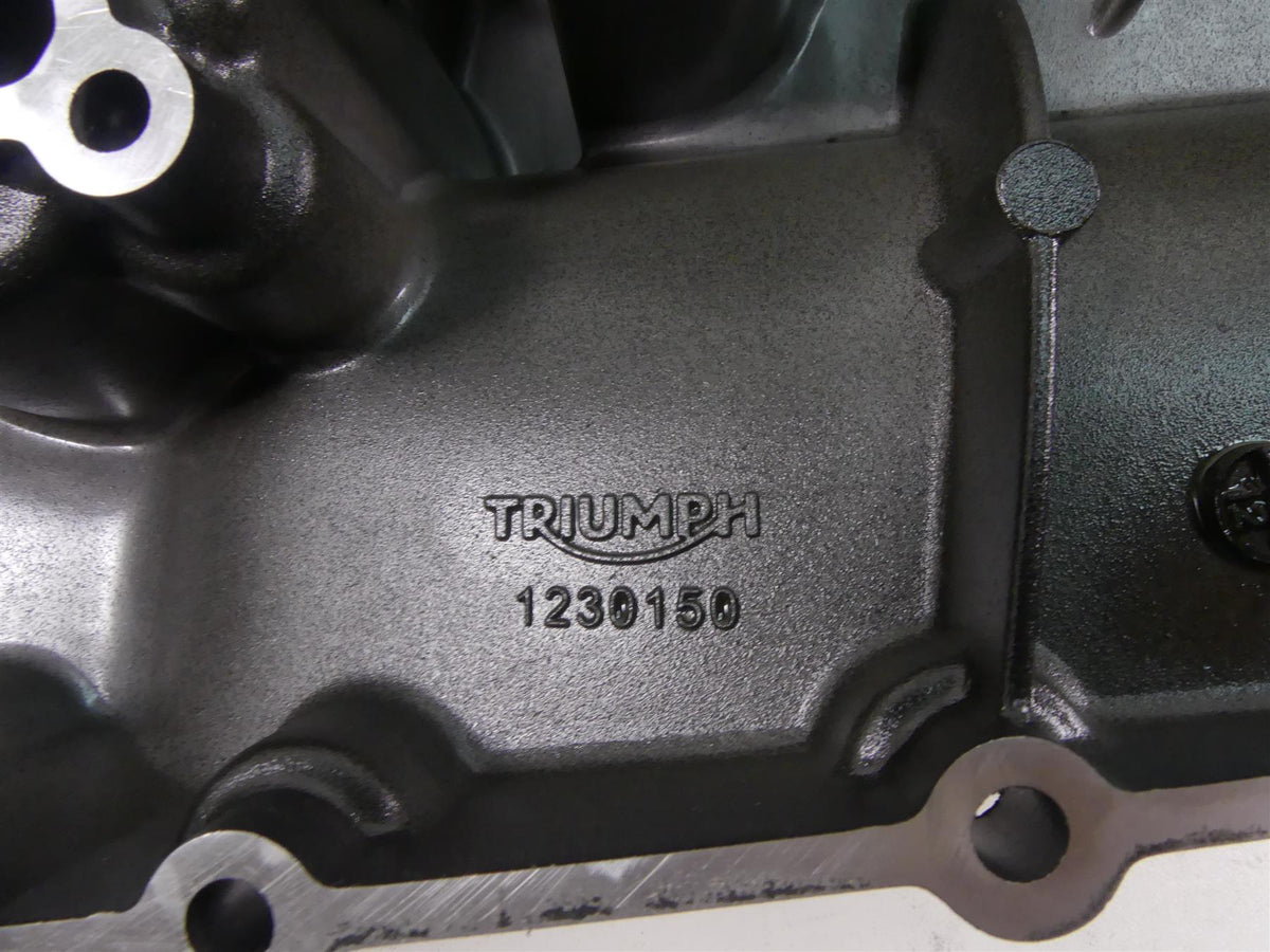 2020 Triumph Speed Triple RS 1050 Oil Pan Lower Engine Cover T1230150 {{ shop.shopifyCountryName }} - Mototech271