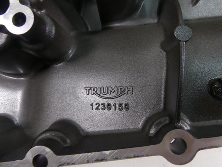2020 Triumph Speed Triple RS 1050 Oil Pan Lower Engine Cover T1230150 {{ shop.shopifyCountryName }} - Mototech271