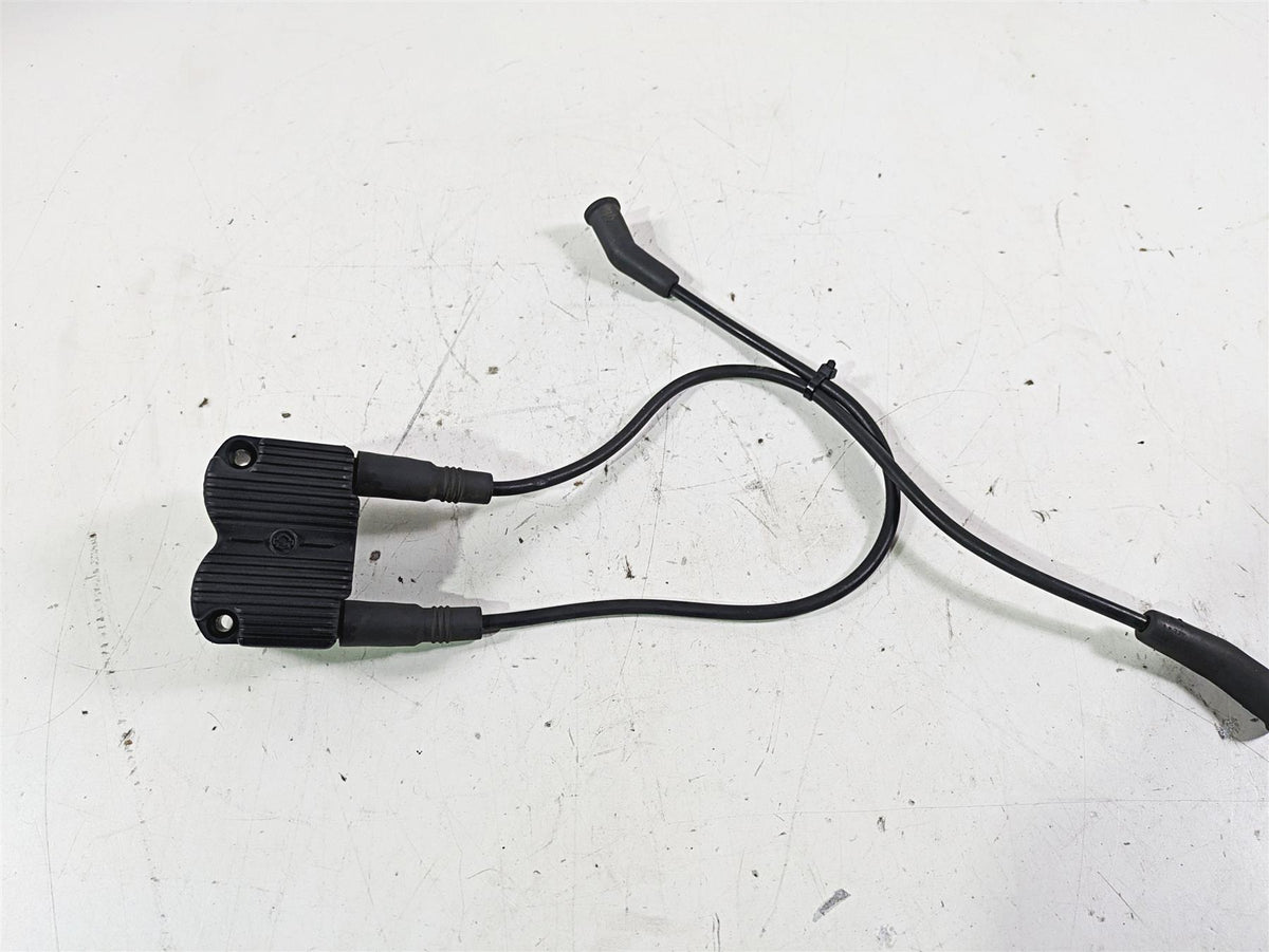 2003 Harley Touring FLHTCUI 100TH E-Glide Ignition Coil Wires Plugs 31743-01 {{ shop.shopifyCountryName }} - Mototech271