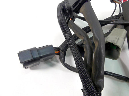 2005 Harley Sportster XL1200 C Main Wiring Harness Loom - Read 70139-05 {{ shop.shopifyCountryName }} - Mototech271