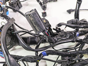 2019 Triumph Speed Triple RS 1050 Wiring Harness Loom -No Cuts T2502526 | Mototech271