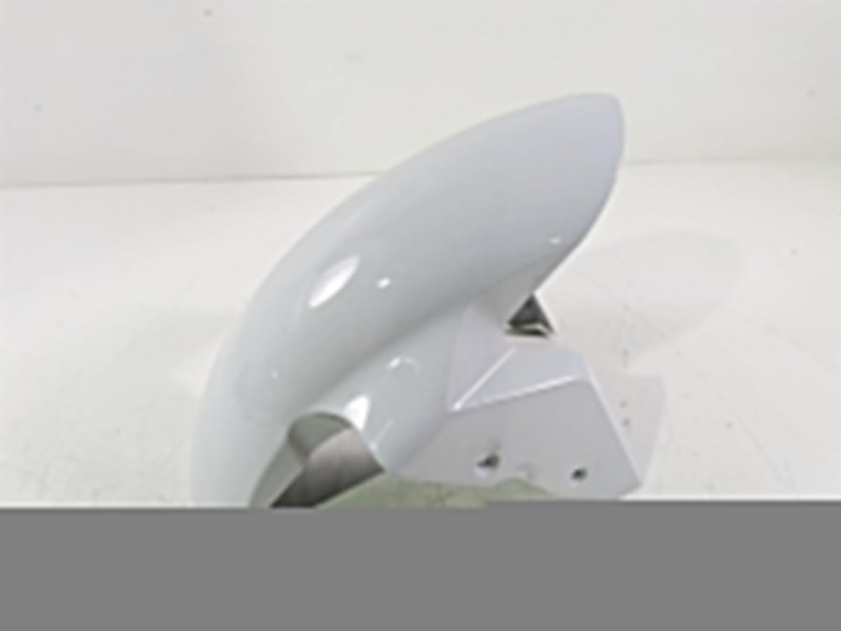 2016 BMW S1000RR K46 Front Fender Lightwhite 46617715964 {{ shop.shopifyCountryName }} - Mototech271