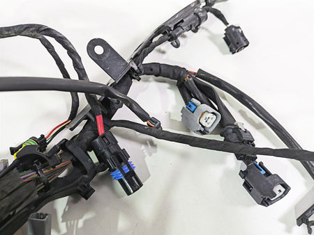 2021 Harley Softail FXST Standard Main Wiring Harness - No Abs - No Cut 69201493 {{ shop.shopifyCountryName }} - Mototech271