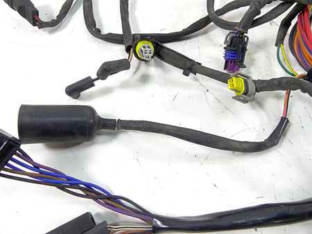 2006 Harley Softail FXSTSI Springer Efi Wiring Harness Loom - No Cuts 70431-06 {{ shop.shopifyCountryName }} - Mototech271