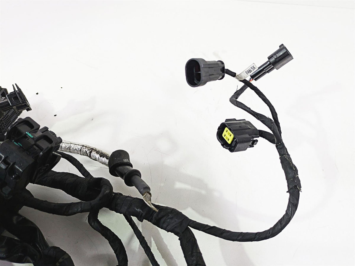 2019 Ducati Supersport 939 S Main Wiring Harness Loom - No Cuts 5101B191D {{ shop.shopifyCountryName }} - Mototech271