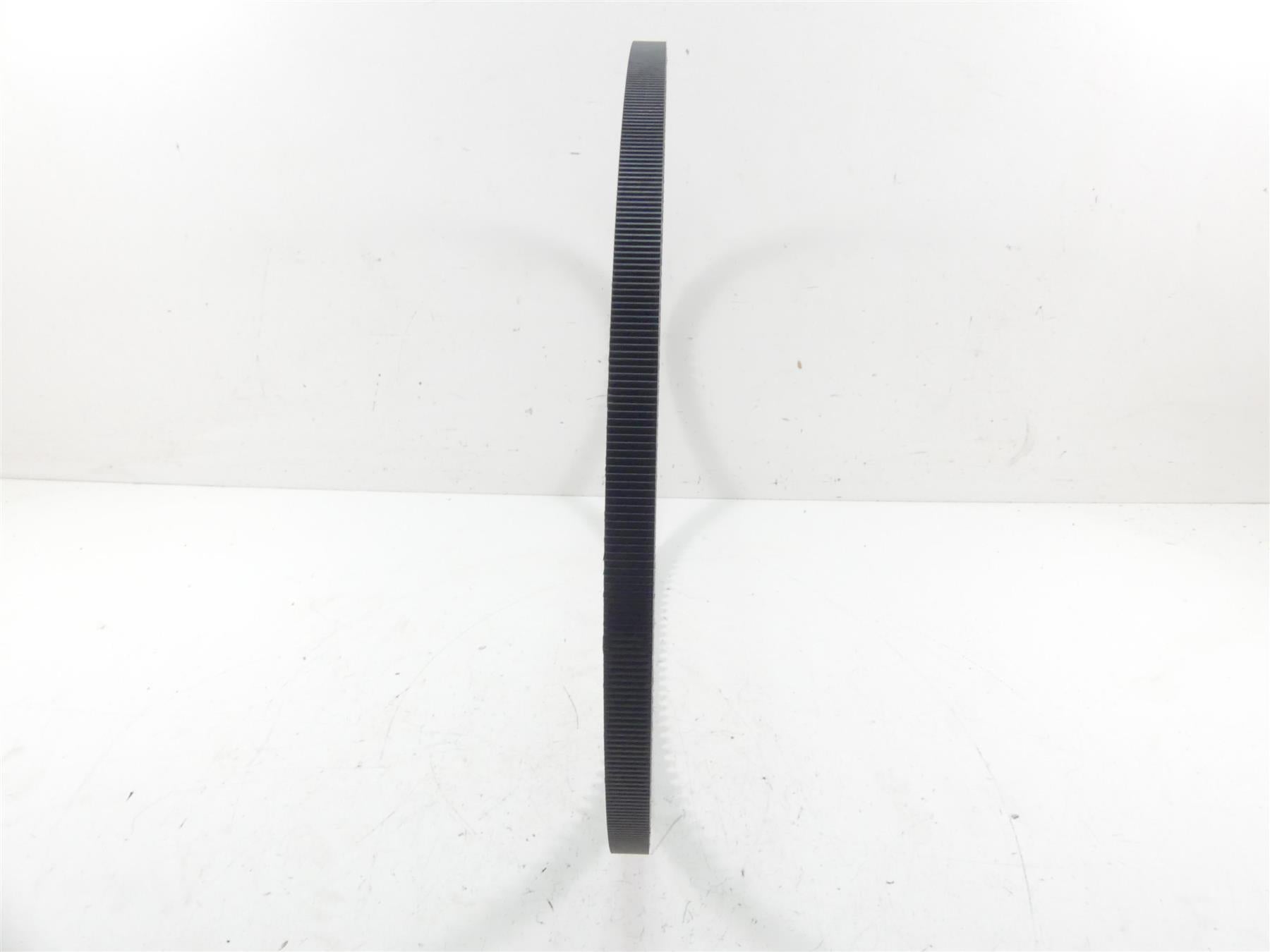 2016 Indian Scout Sixty Rear Main Drive Belt 141T 22mm 3211176 {{ shop.shopifyCountryName }} - Mototech271