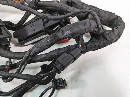 2007 BMW R1200GS K255 Adv K25 Main & Engine Wiring Harness - No Cuts 61117704196 {{ shop.shopifyCountryName }} - Mototech271